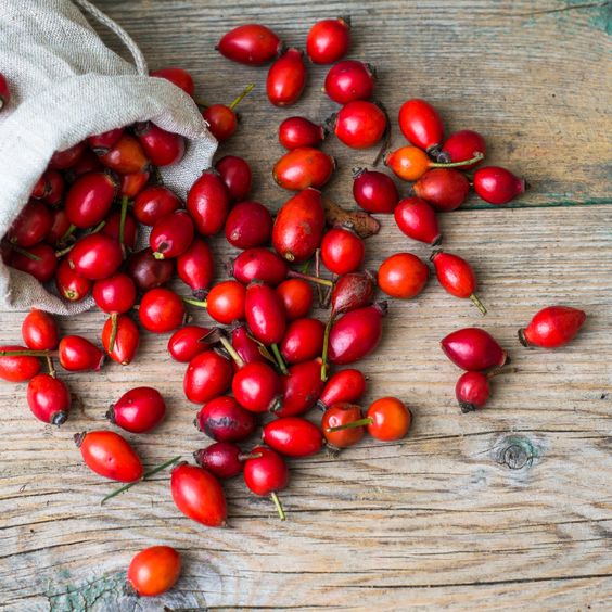 Dried_wild_rose_hips_1